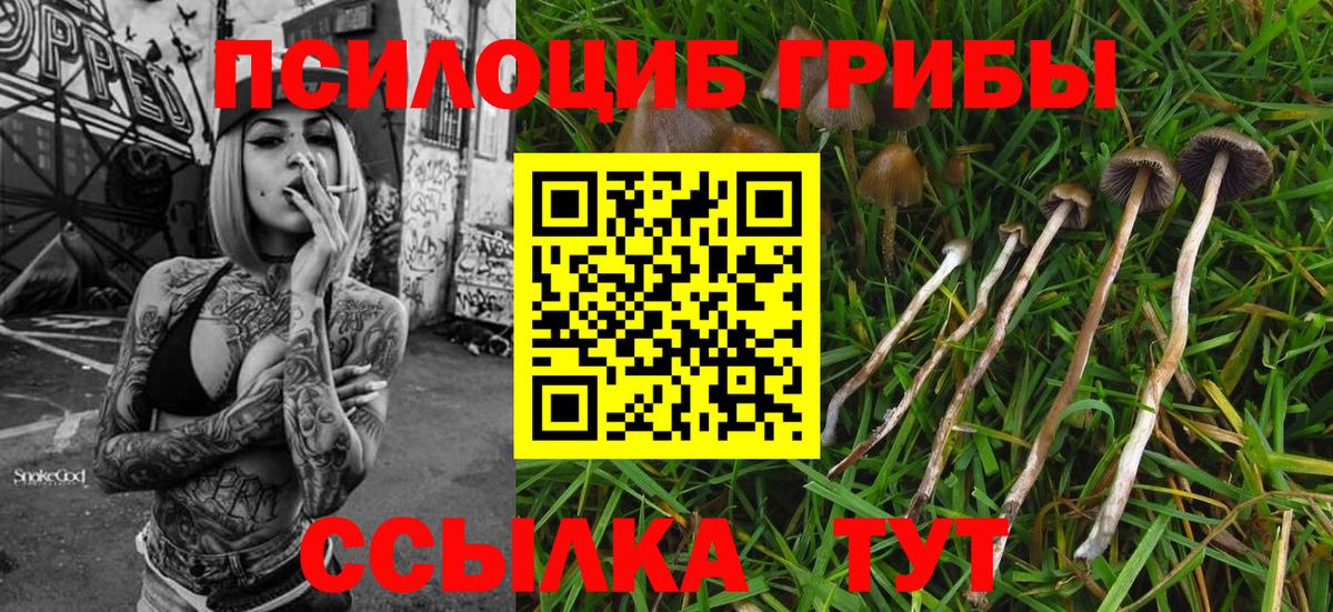Прохладный  ГАШ  ГАШИШ  Метамфетамин  MDMA  Вход с VPN  Марихуана  Цена  Меф МЯУ МЯУ кристаллы 