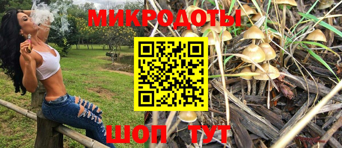 Псилоцибиновые грибы GOLDEN TEACHER  Вход с VPN  Прохладный 